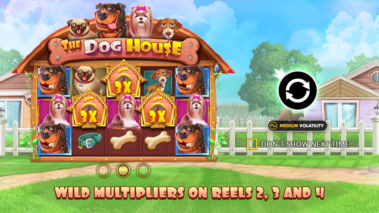 The Dog House intro screen with 3x kennel wilds on reels 2, 3 and 4 and a Medium Volatility badge